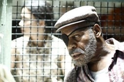 Movie Review – Blindness