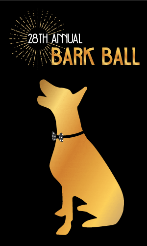 BarkBall WEB dogTextx
