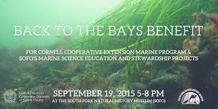Back to the Bays