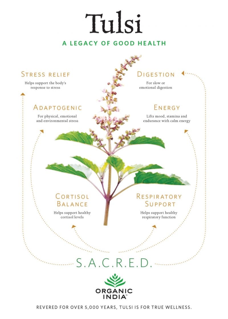 Tulsi
