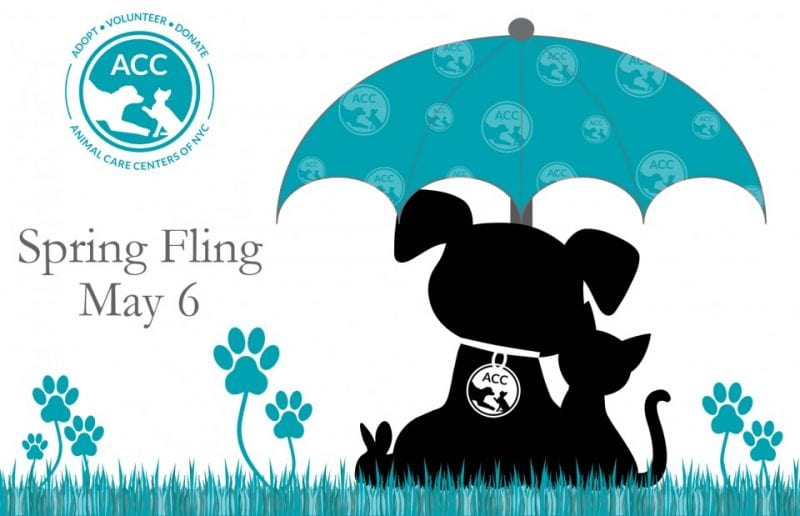 Spring Fling (ACC)