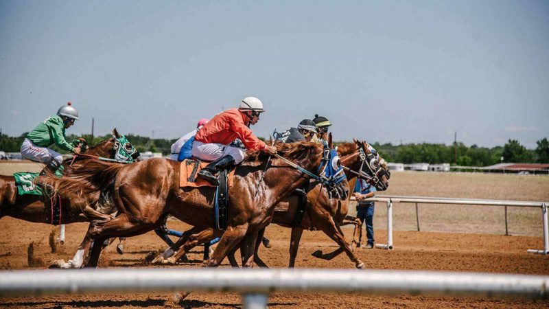Cheltenham National Festival – Save the Date
