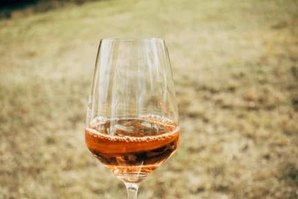 Weed Wine – Honest Marijuana